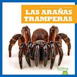 Las Aranas Tramperas (Trapdoor Spiders)