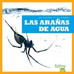 Las Aranas de Agua (Water Spiders)