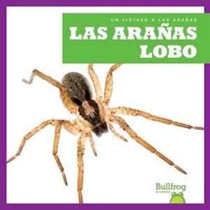 Las Aranas Lobo (Wolf Spiders)