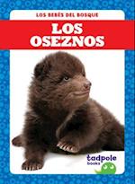 Los Oseznos = Bear Cubs
