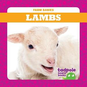 Lambs