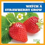 Watch a Strawberry Grow