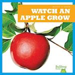 Watch an Apple Grow