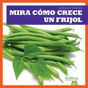 Mira Como Crece Un Frijol (Watch a Bean Grow)