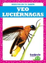 Veo Luciernagas (I See Fireflies)