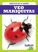 Veo Mariquitas (I See Ladybugs)