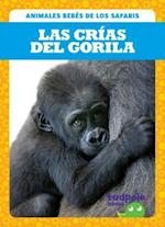 Las Crias del Gorila (Gorilla Infants)