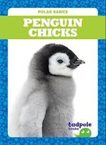 Penguin Chicks