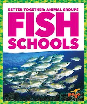 Fish Schools