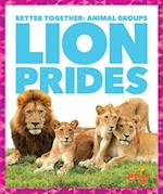 Lion Prides