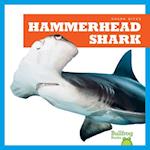 Hammerhead Shark