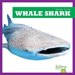 Whale Shark