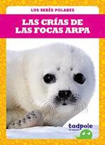 Las Crias de Las Focas Arpa (Harp Seal Pups)