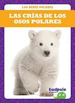 Las Crias de Los Osos Polares (Polar Bear Cubs)