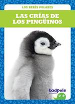 Las Crias de Los Pinguinos (Penguin Chicks)