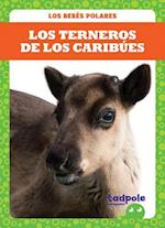 Los Terneros de Los Caribues (Caribou Calves)