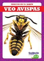 Veo Avispas (I See Wasps)