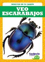 Veo Escarabajos (I See Beetles)