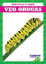 Veo Orugas (I See Caterpillars)