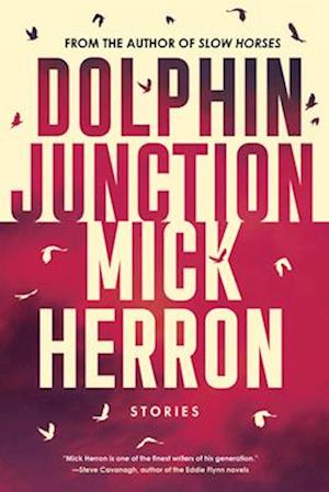 Dolphin Junction