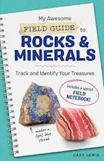 My Awesome Field Guide to Rocks and Minerals