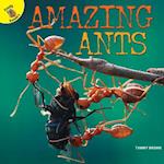 Amazing Ants