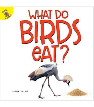 What Do Birds Eat?