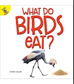 What Do Birds Eat?