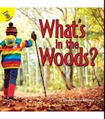 What's in the Woods?