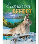 Ecosystem Effect