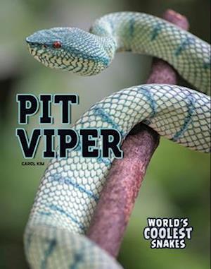 Pit Viper