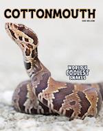 Cottonmouth