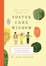 The Little Book of Foster Care Wisdom