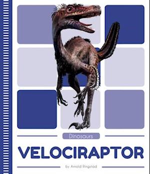 Velociraptor