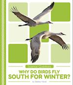 Science Questions: Why Do Birds Fly South for Winter?
