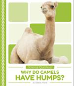 Why Do Camels Have Humps?