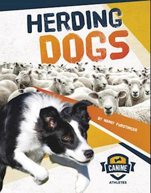 Herding Dogs