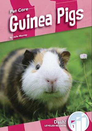 Guinea Pigs