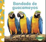 Bandada de Guacamayos (Macaw Flock)