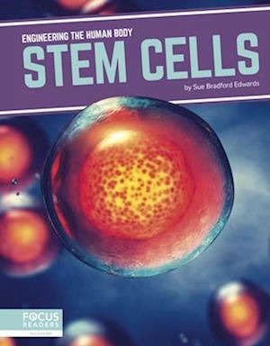 Stem Cells