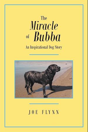 The Miracle of Bubba