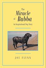 The Miracle of Bubba