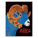 6-Pack Lisa Congdon for Em & Friends Aries Card