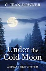 Under a Cold Moon