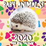 Baby Animals! 2020 Mini Wall Calendar