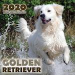 Golden Retriever 2020 Mini Wall Calendar