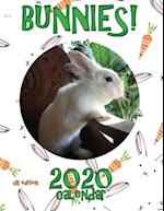 Bunnies! 2020 Calendar (UK Edition) 