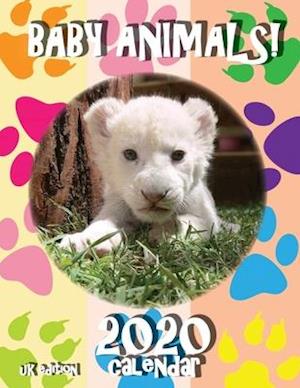 Baby Animals! 2020 Calendar (UK Edition)