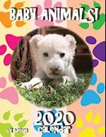 Baby Animals! 2020 Calendar (UK Edition) 