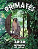 Primates 2020 Calendar (UK Edition) 